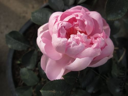 ��Ƭ1 1204.jpg