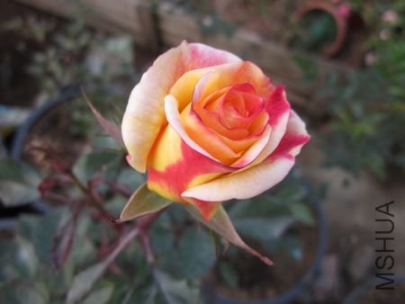 ��Ƭ1 1201.jpg