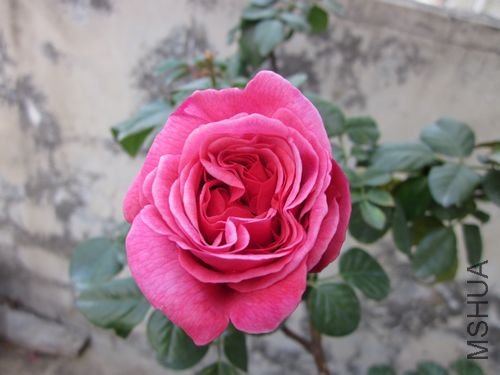 ��Ƭ1 1203.jpg