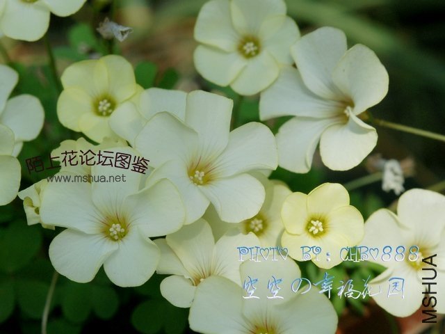 02_��~1.JPG