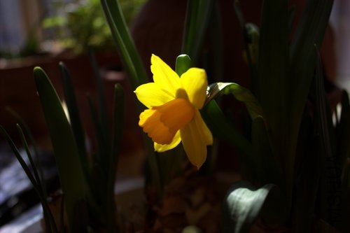 IMG_0904.jpg