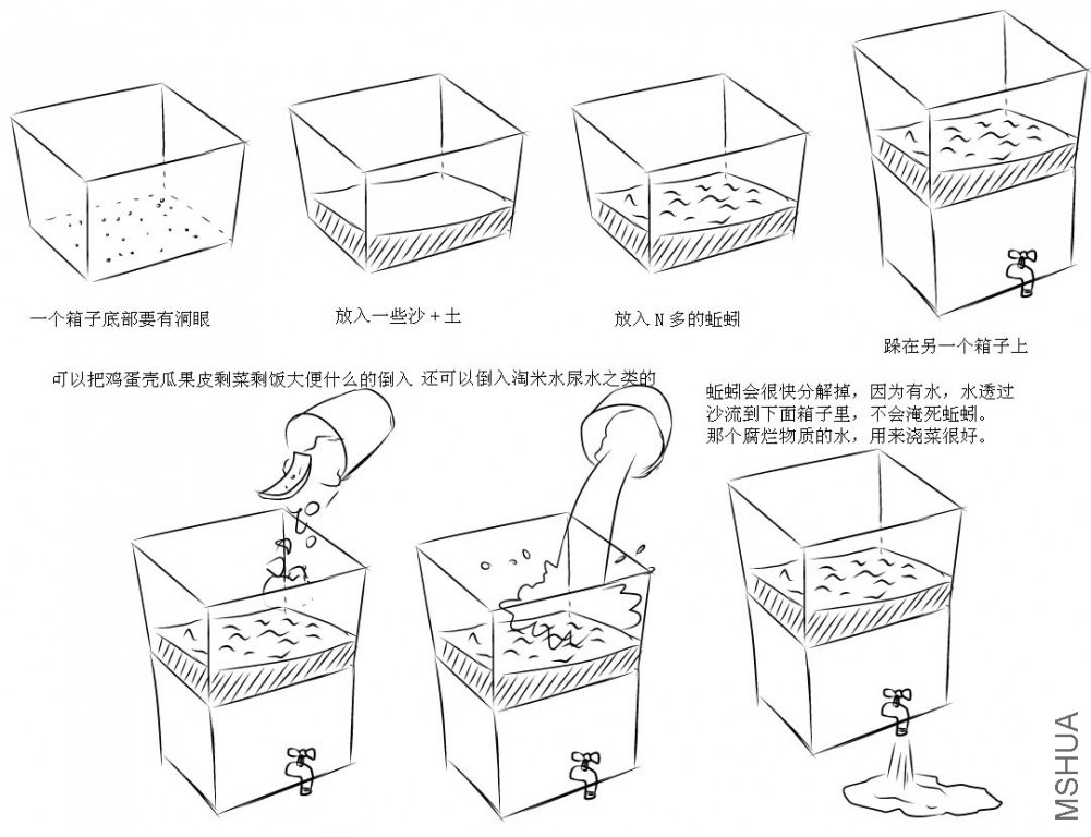 ����Ӫ��ˮ�� ����.jpg