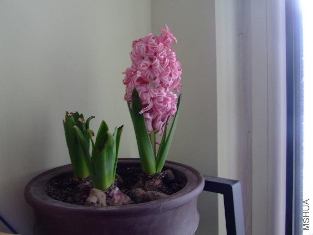 DSCF1244.JPG