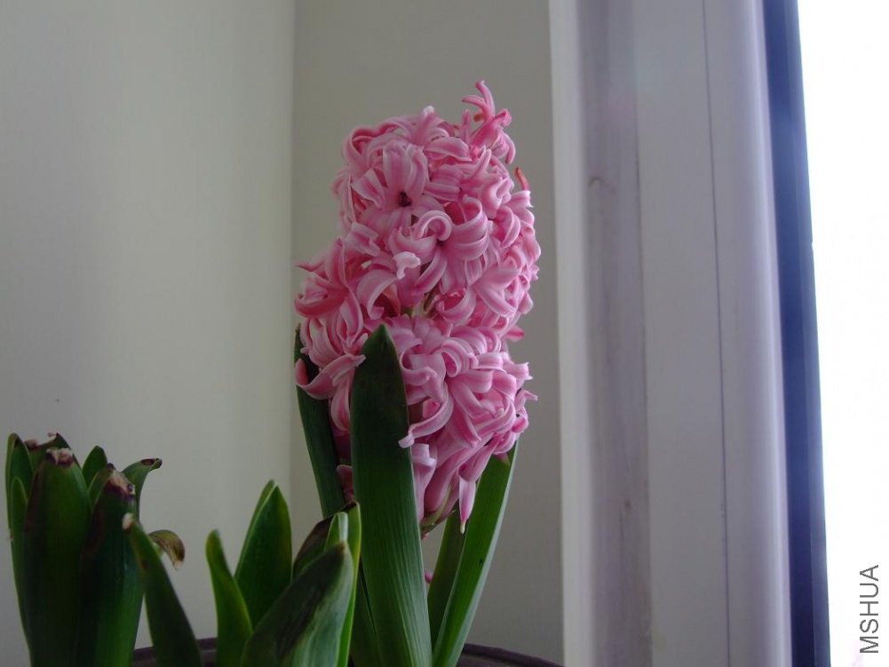 DSCF1248.JPG