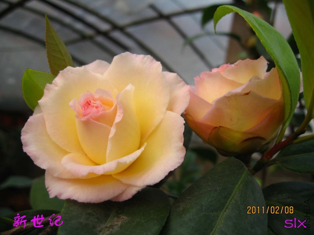 ������11-2-8 (3).jpg