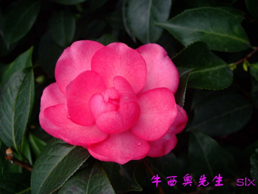 ţ����11-2-15f (1).jpg