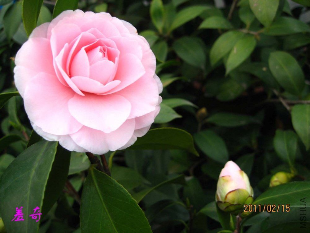 ����11-2-15c (2).jpg