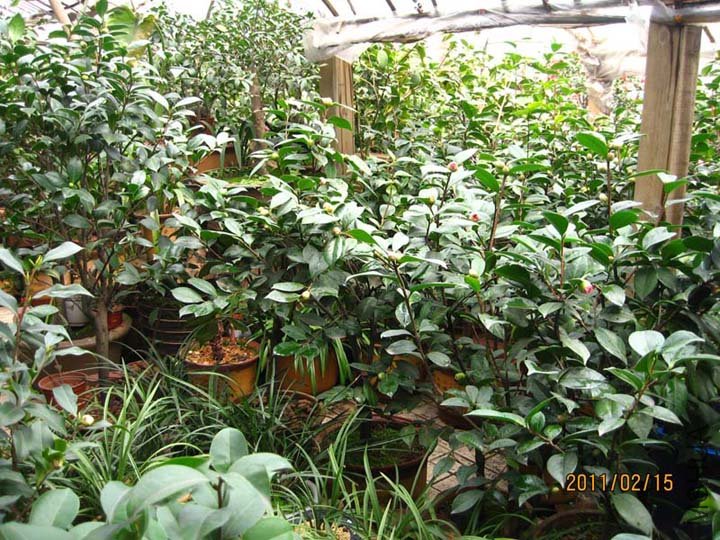 �軨԰ 11-2-15 (7).jpg