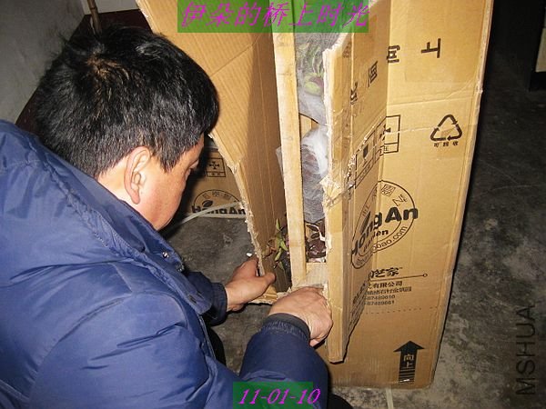 nEO_IMG_��Ƭ 081.jpg