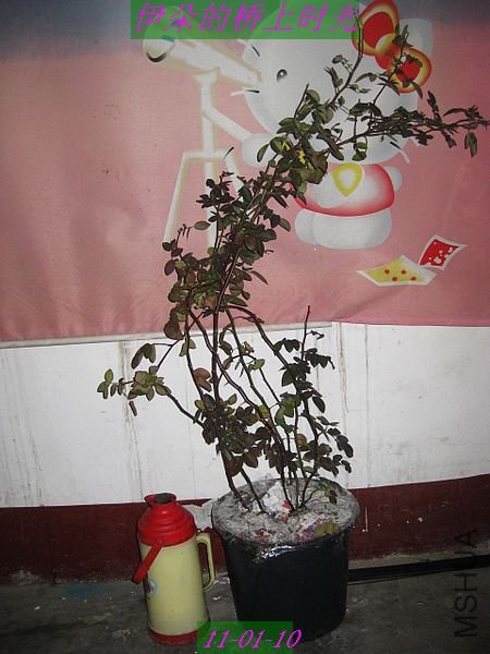 nEO_IMG_��Ƭ 090.jpg