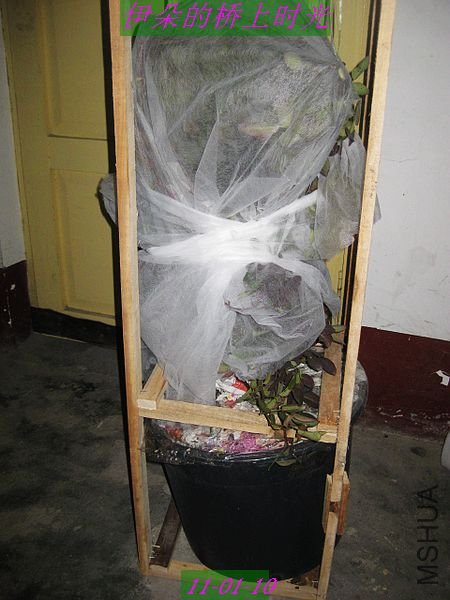 nEO_IMG_��Ƭ 084.jpg