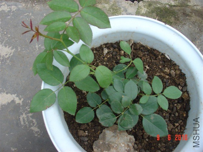 ����2010.06.09��