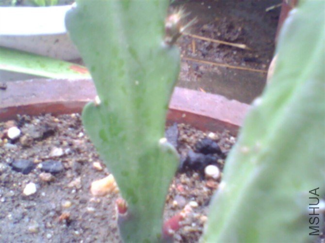 ��Ƭ0084_����.jpg