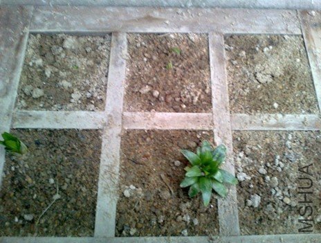 ��Ƭ0085_����.jpg