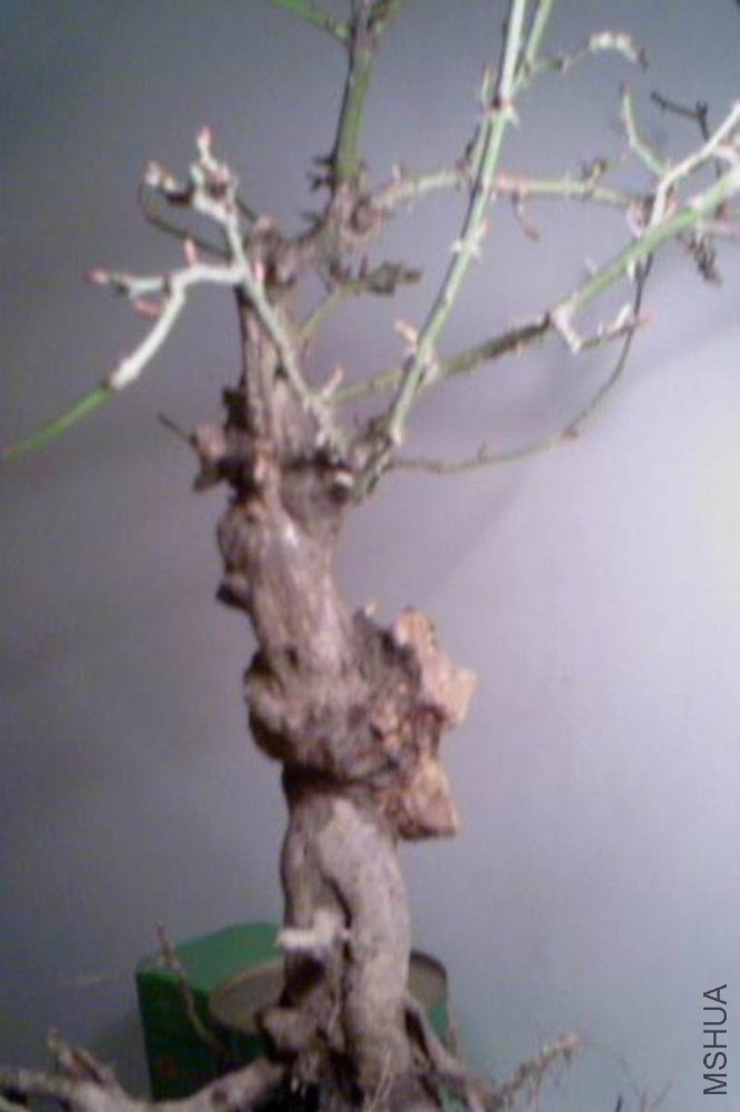 ��Ƭ-195.jpg