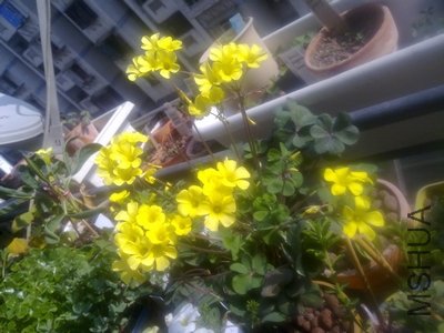 20110206177.jpg