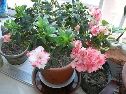 DSCN0570.JPG