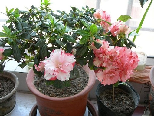 DSCN0571.JPG