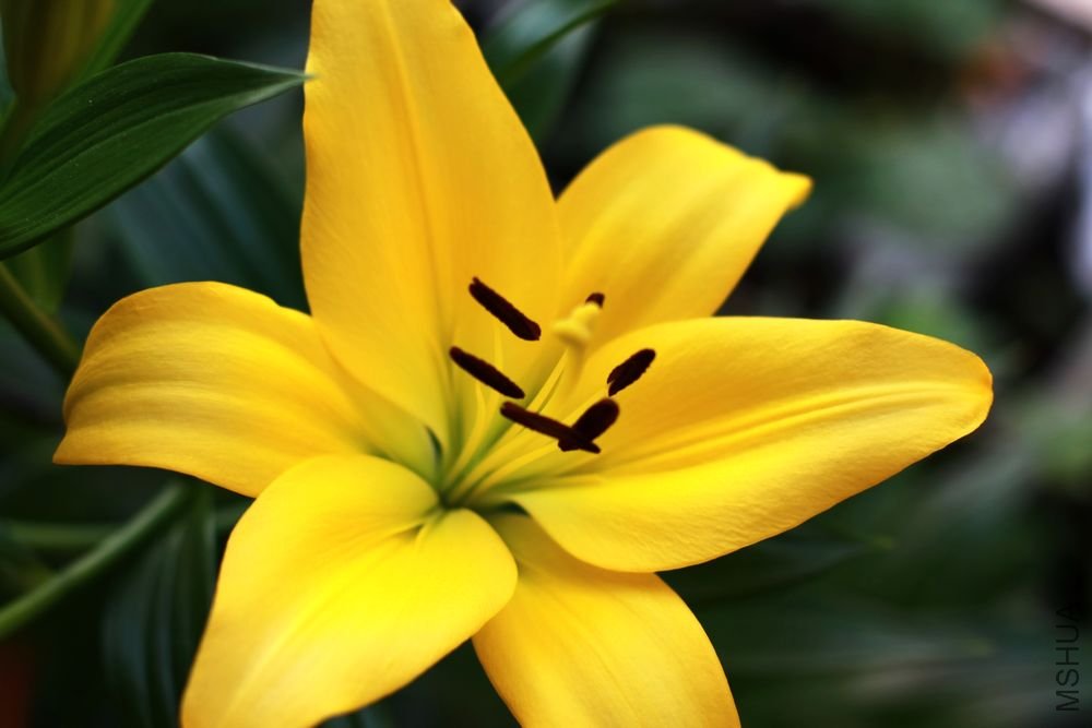 ��Ƭ�ٺ� ������.jpg