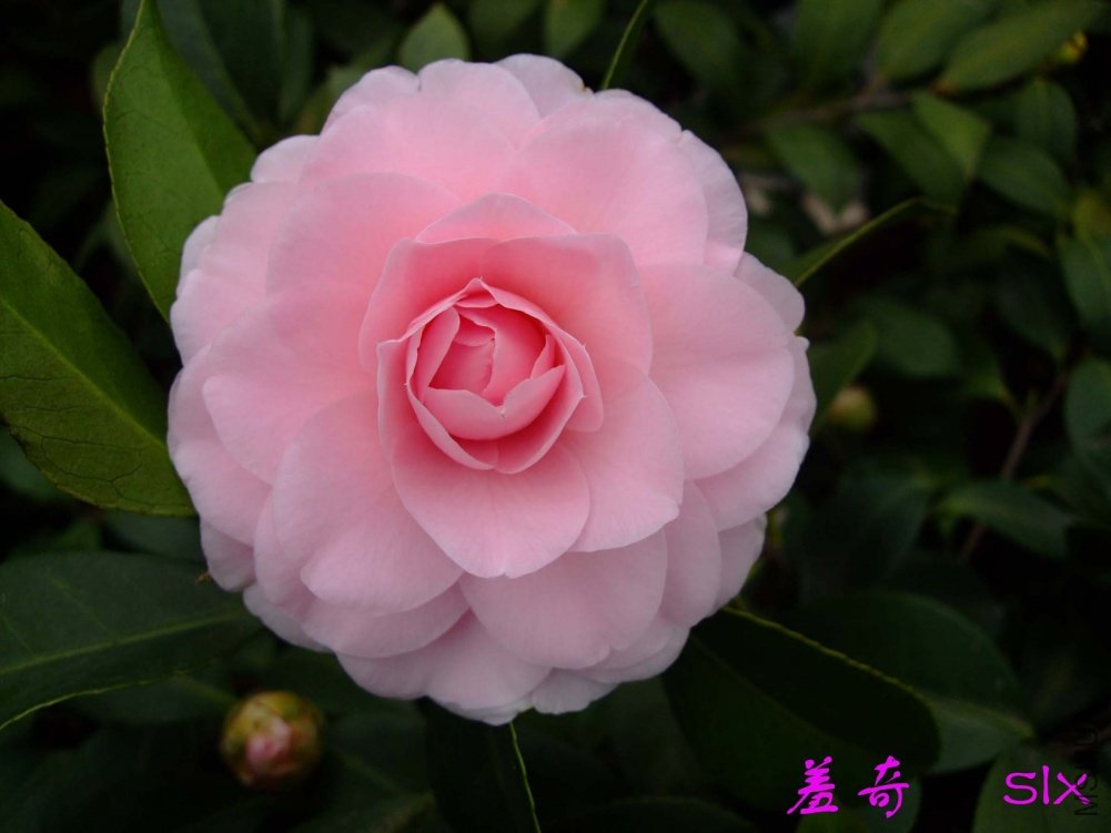 ����11-2-18f (1).jpg