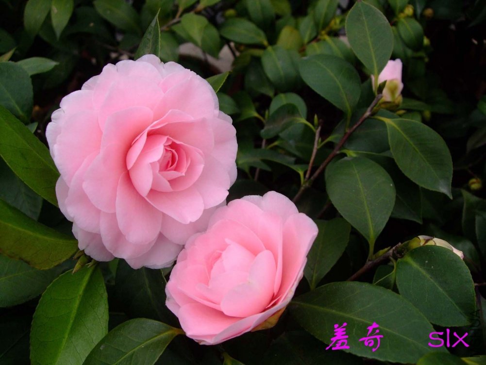 ����11-2-18f (2).jpg