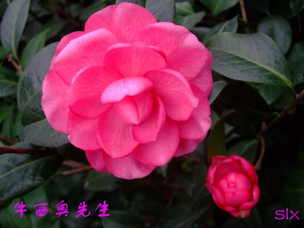 ţ��������11-2-18f (3).jpg