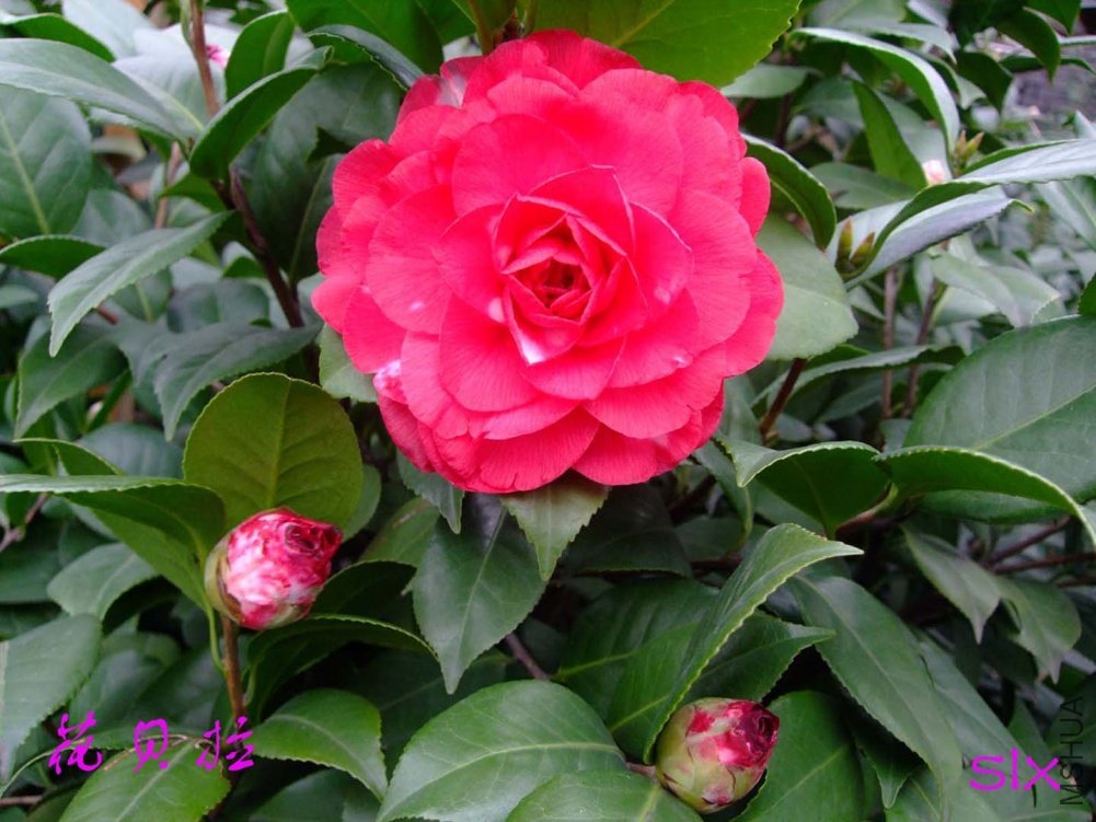 ������11-2-18f (1).jpg