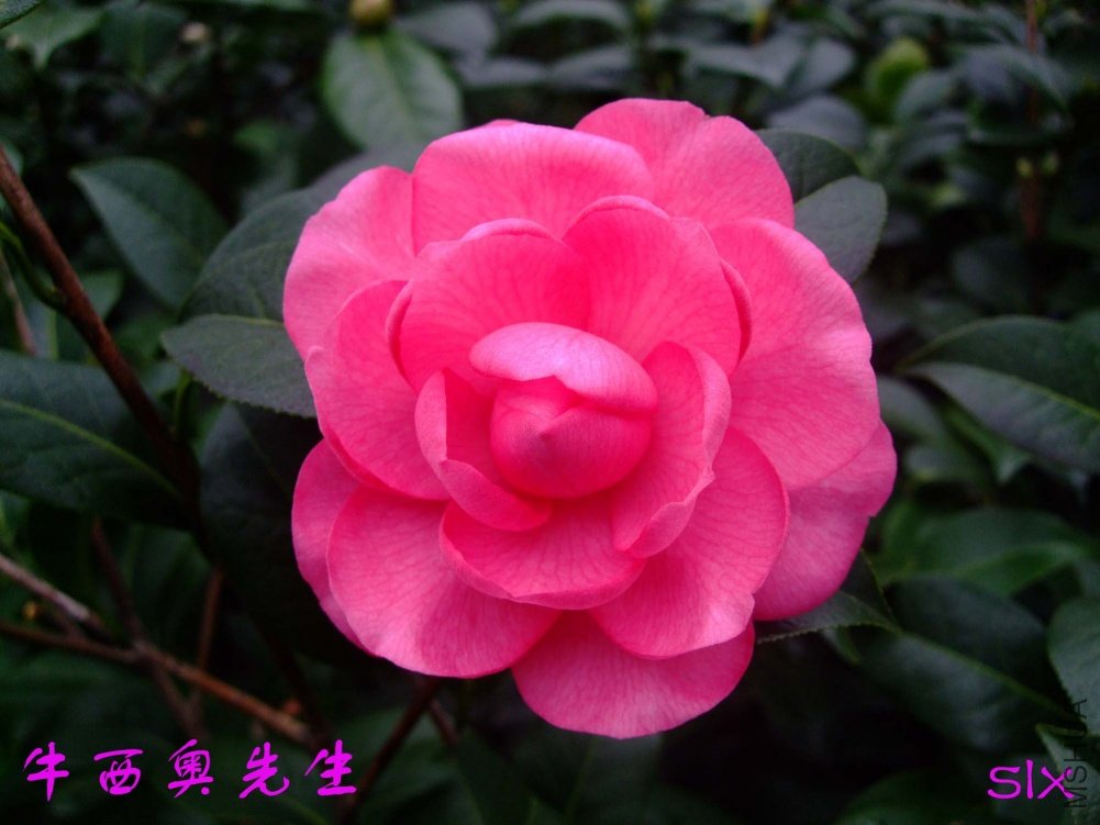 ţ��������11-2-18f (2).jpg