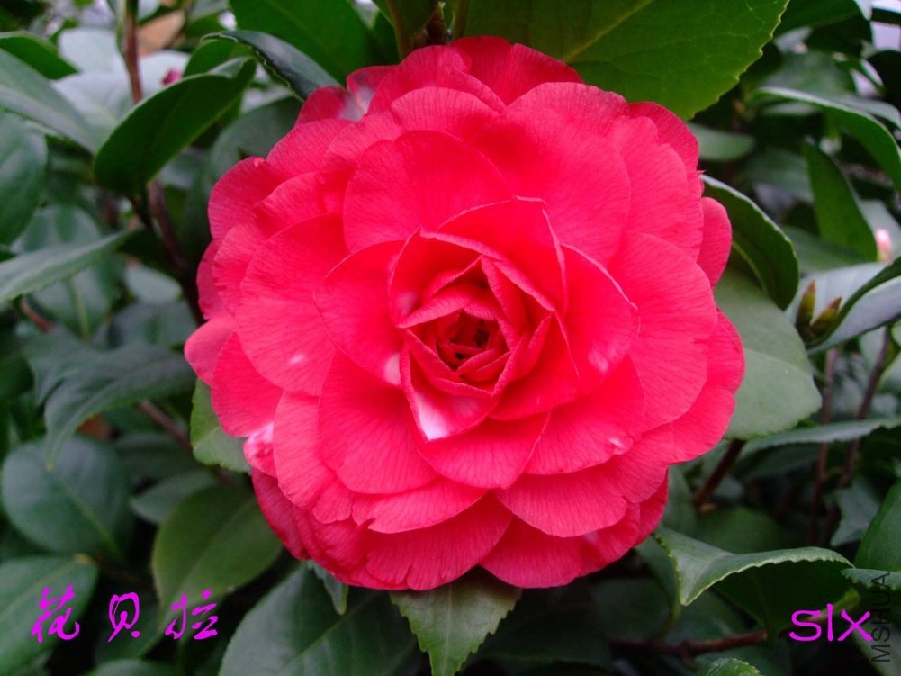 ������11-2-18f (2).jpg