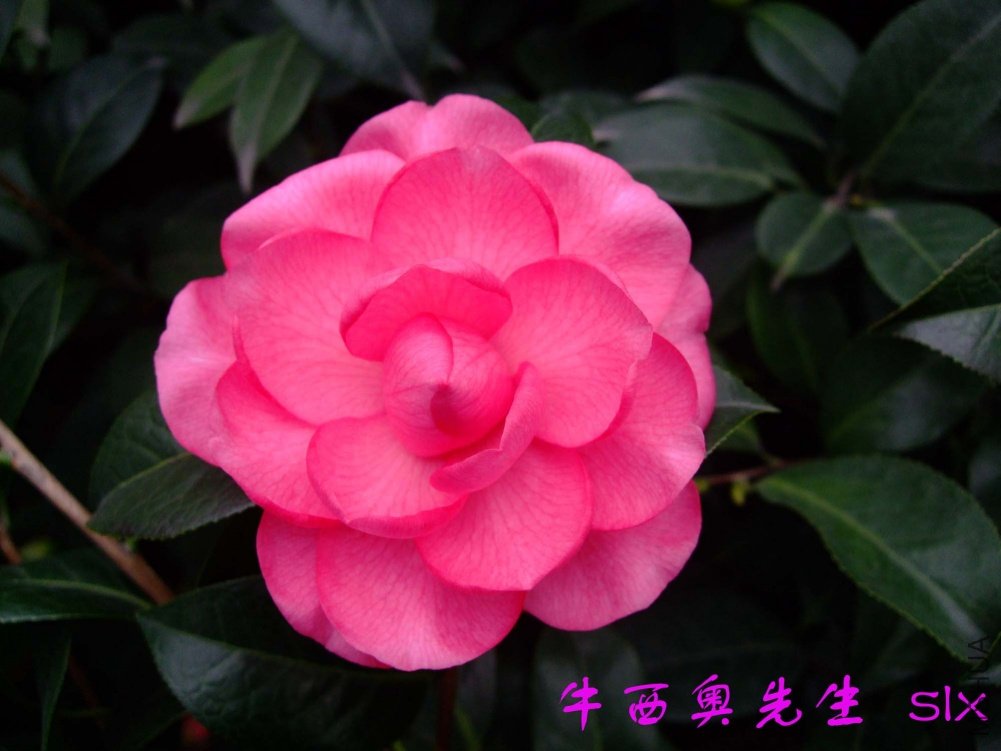 ţ��������11-2-18f (1).jpg