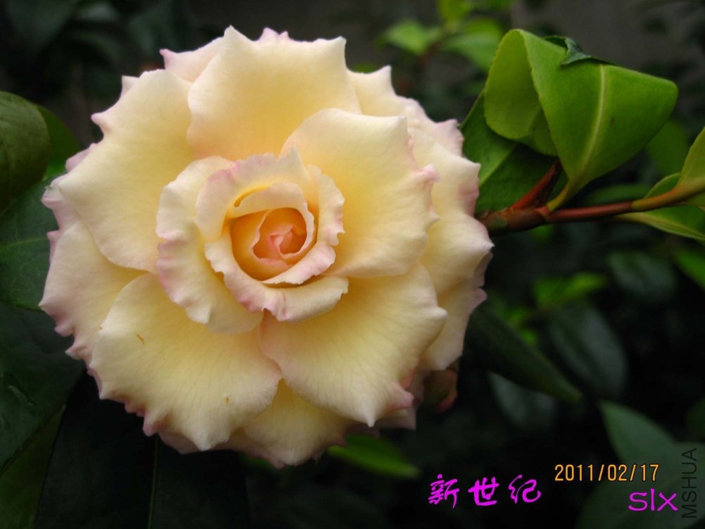 ������ 11-2-17c 01.jpg