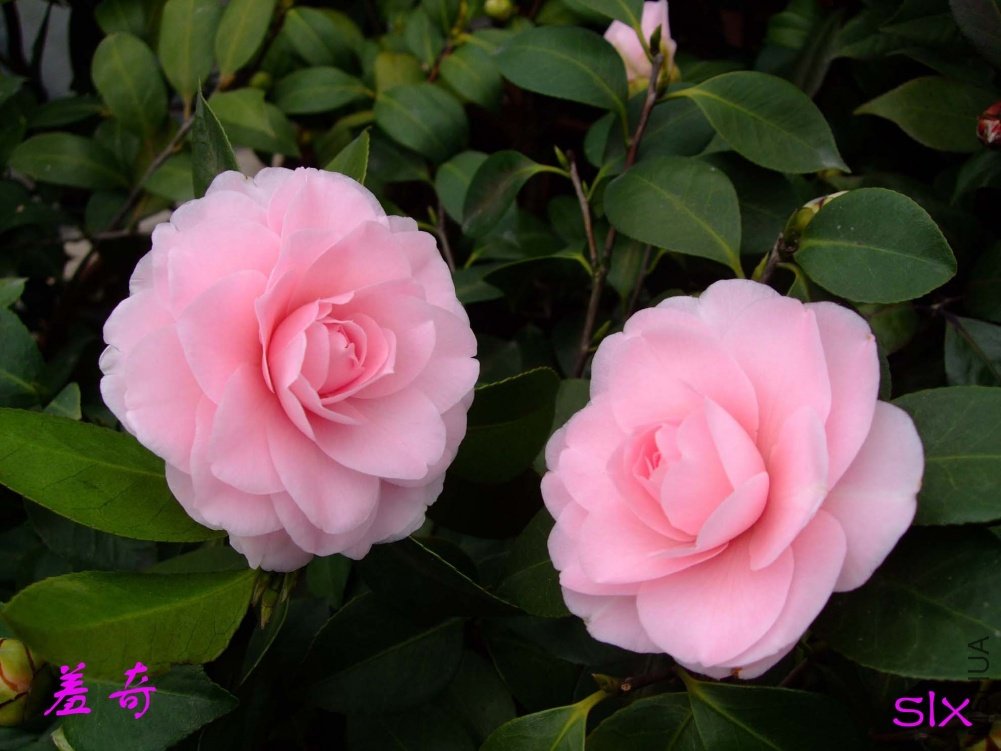 ����11-2-19f (4).jpg