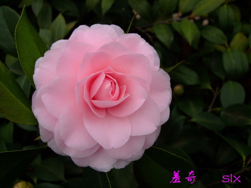 ����11-2-19f (3).jpg