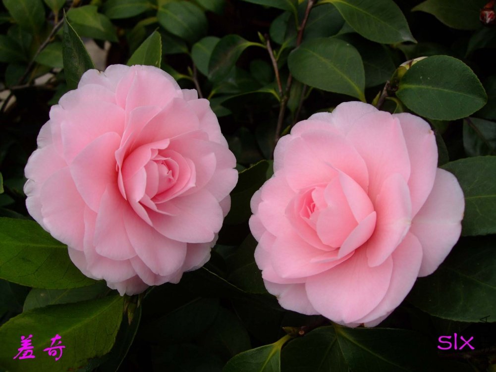 ����11-2-19f (5).jpg