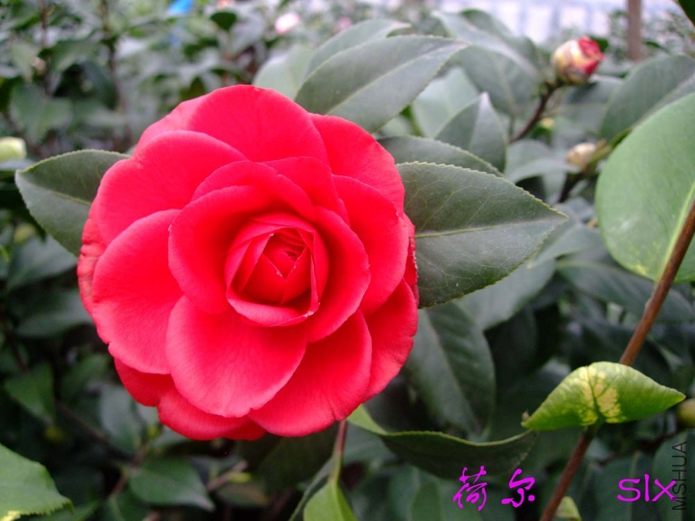 �ɶ�11-2-19f (1).jpg