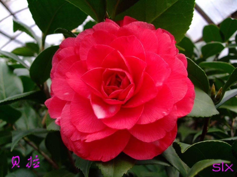 ������11-2-19f (1).jpg