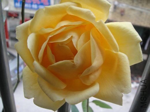 DSC02324.jpg