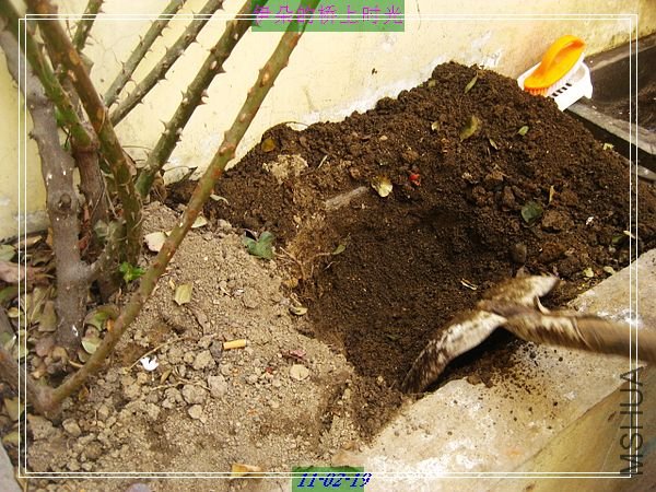 nEO_IMG_��Ƭ 005.jpg