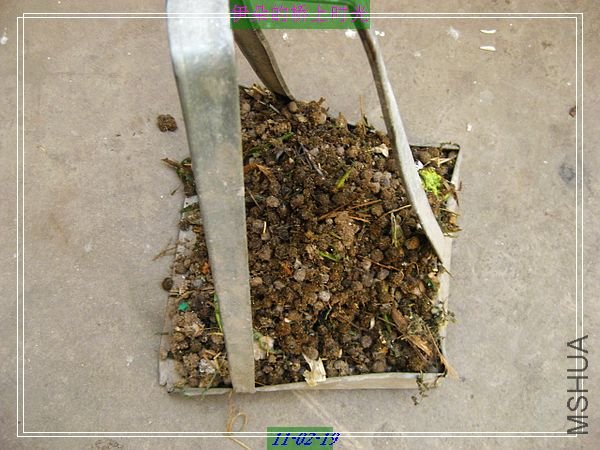 nEO_IMG_��Ƭ 004.jpg