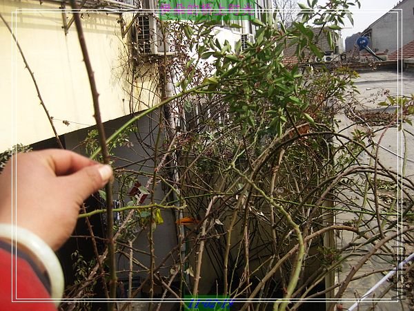 nEO_IMG_��Ƭ 028.jpg