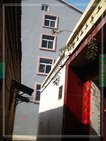 nEO_IMG_��Ƭ 018.jpg