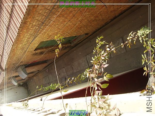 nEO_IMG_��Ƭ 023.jpg