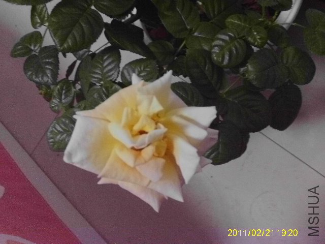 IMAG0064.JPG