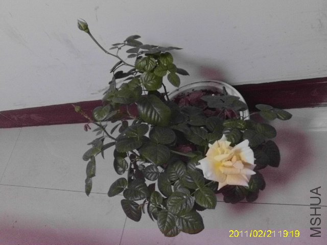 IMAG0059.JPG