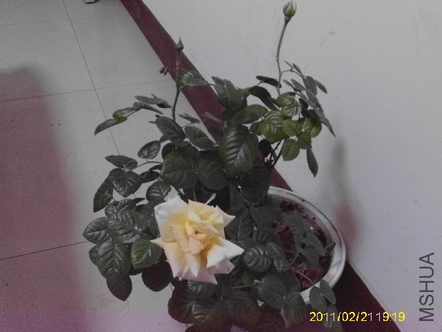 IMAG0058.JPG