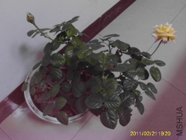 IMAG0065.JPG
