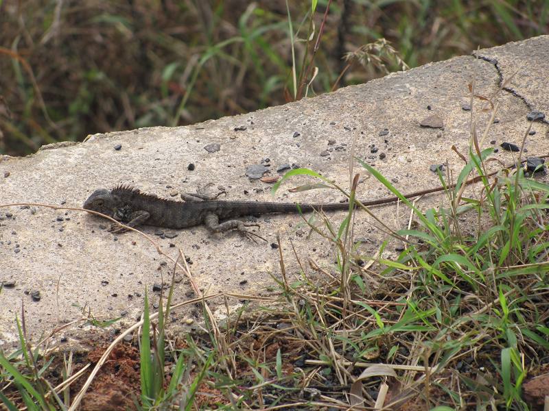 ɹ̫��������