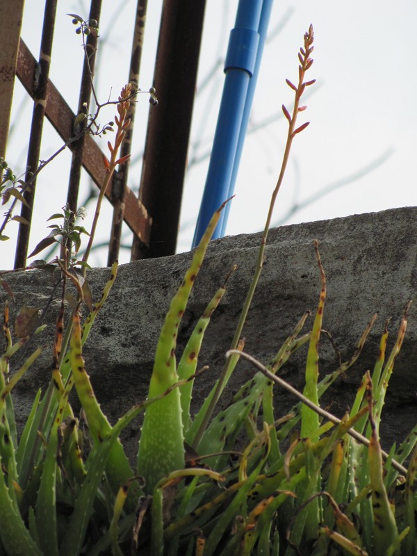 «������