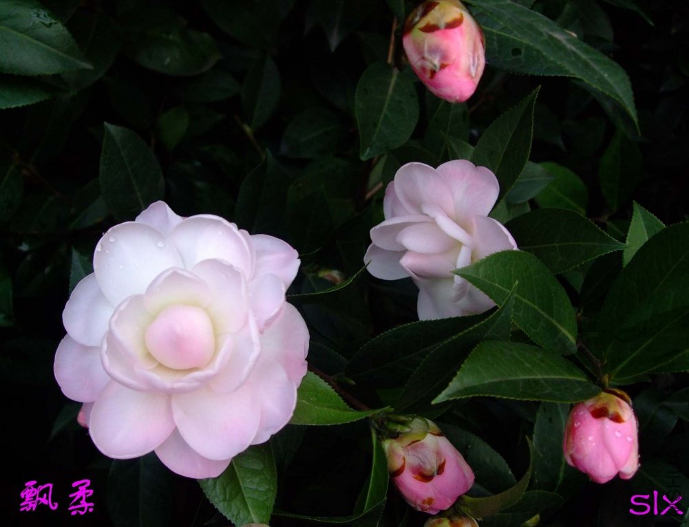 Ʈ��11-2-22f (4).jpg