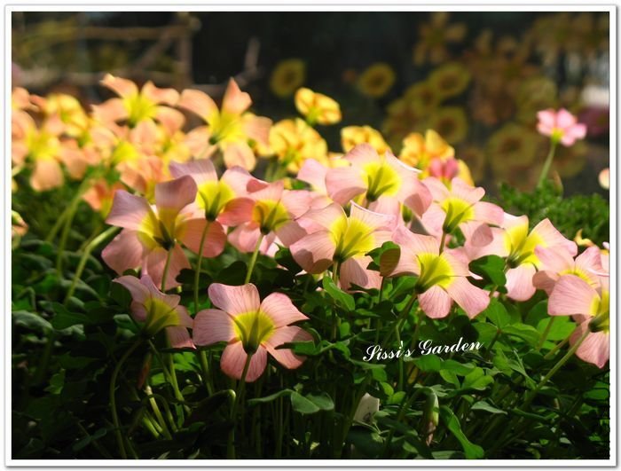 nEO_IMG_110220 162.jpg